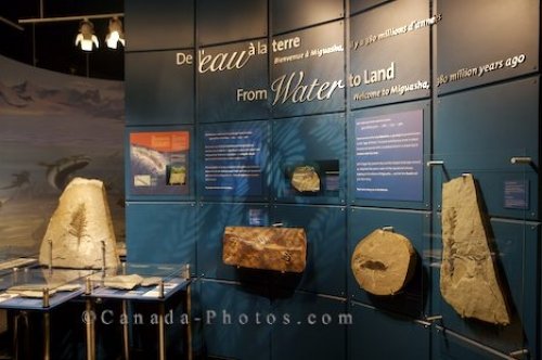 Photo: Miguasha National Park History Museum Quebec Canada