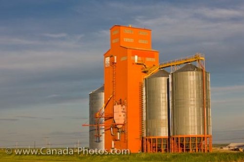 Photo: Morse Town Grain Elevators Saskatchewan Canada
