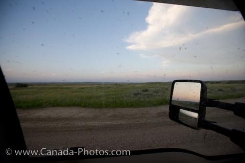Photo: Mosquitoes Grasslands National Park Saskatchewan Canada
