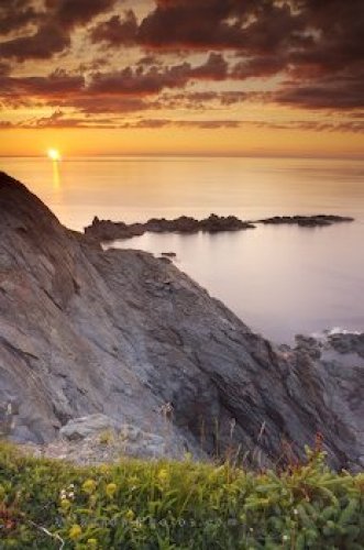 Photo: Newfoundland Sunset Horizon Picture