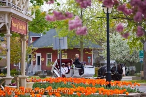 Photo: Niagara On The Lake Horse Carriage Tour Ontario Canada