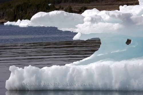 Photo: Pack Ice Formations Conche Harbour Newfoundland