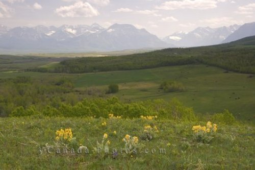 Photo: Waterton Prairie Scenery Southern Alberta Canada