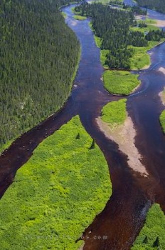 Photo: River Aerial Picture Southern Labrador
