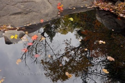 Photo: River Reflections Lake Superior Provincial Park