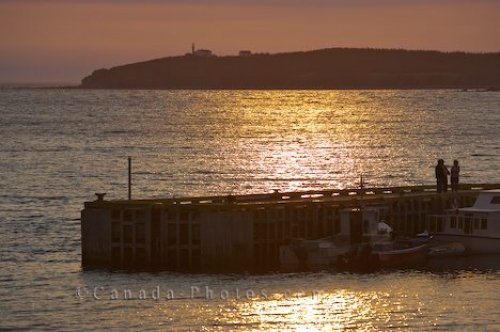 Photo: Rocky Harbour Marina Newfoundland