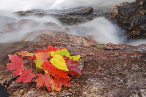 Photo: Sand River Waterfall Autumn Leaf Display Lake Superior Provincial Park