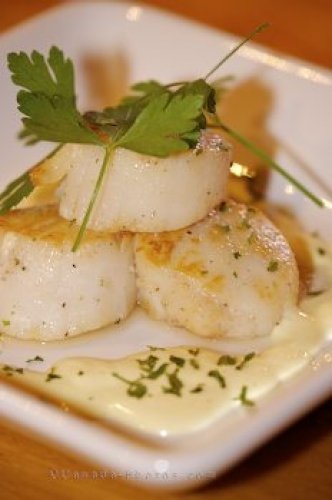 Photo: Scallop Meal Tuckamore Lodge Newfoundland
