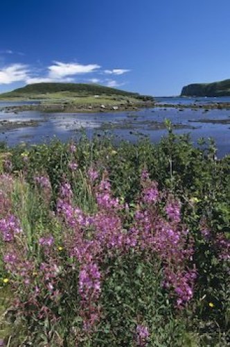Photo: Scenic Picture Newfoundland Canada