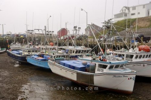 Photo: Stranded Fishing Boats Halls Habour Nova Scotia
