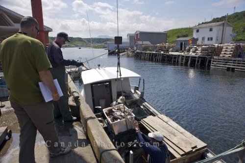 Photo: Trout River Fishermen Newfoundland