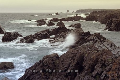 Photo: Twillingate Coastline Newfoundland