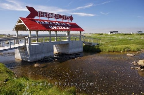 Photo: Wooden Bridge Thrombolites Newfoundland