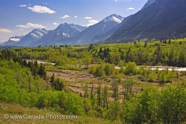 Photo: Blakiston Valley Alberta