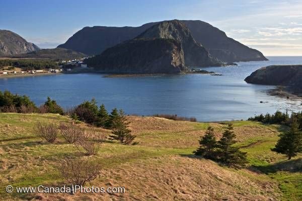 Photo: Bottle Cove Little Port Newfoundland