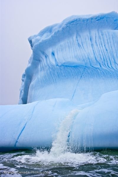 Photo: Calving Iceberg Picture Great Caribou Island Southern Labrador
