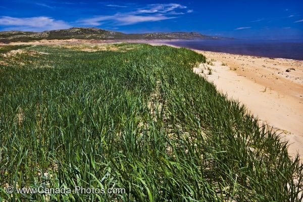 Photo: Sand Dunes Pinware River Labrador