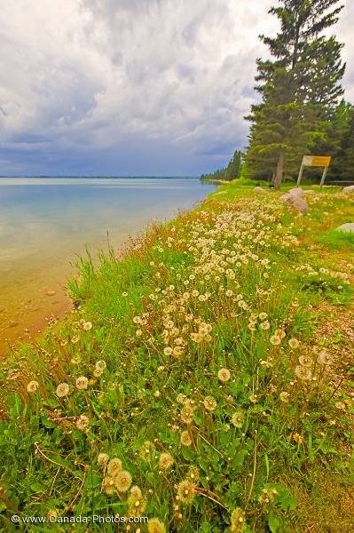 Photo: Clear Lake Shoreline Riding Mountain National Park Manitoba