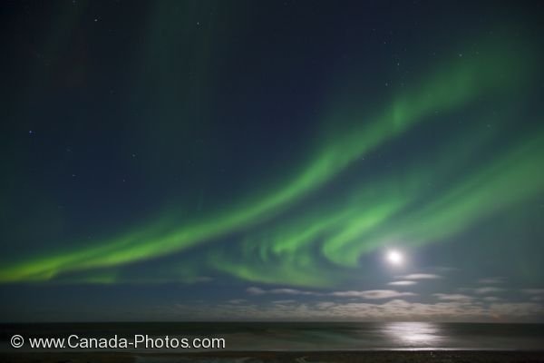 Photo: Dancing Northern Lights Churchill Manitoba