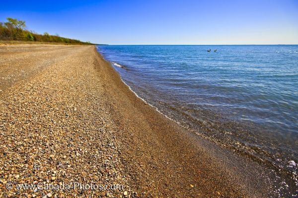 Photo: Lake Erie Shore Point Pelee National Park Ontario Canada