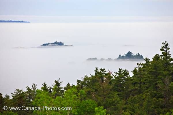 Photo: Fog Shrouded Lake Superior Forest Ontario