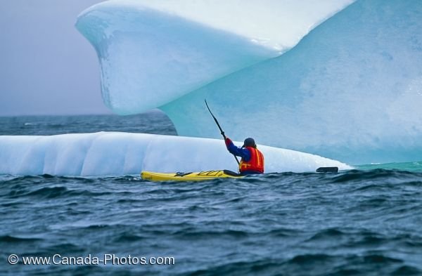 Photo: Newfoundland Iceberg Kayaking Atlantic Ocean