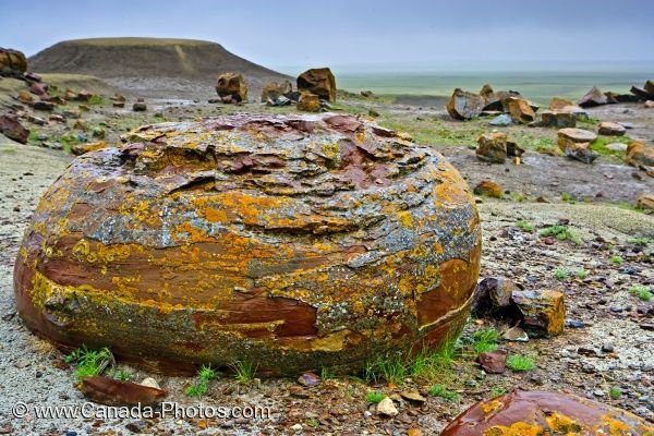 Photo: Red Sandstone Alberta