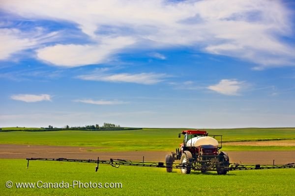 Photo: Rockglen Farmland Crop Spraying Southern Saskatchewan
