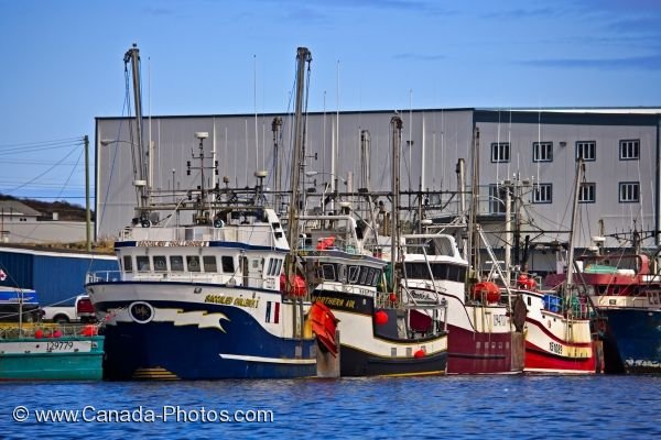 Photo: Shrimp Fishing Boats Newfoundland