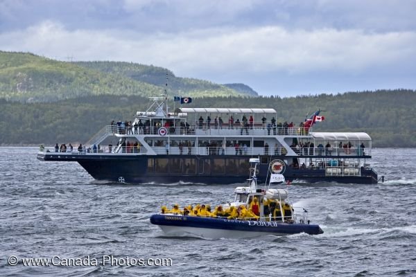 Photo: Tadoussac Whale Watching Boats Quebec