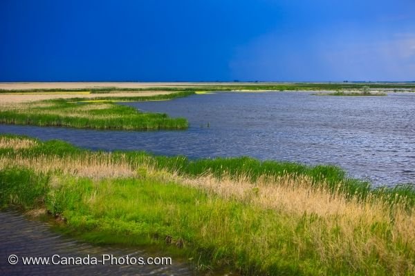 Photo: Teal Cell Oak Hammock Marsh Interpretive Centre Manitoba Canada