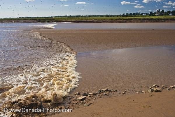 Photo: Tidal Bore Salmon River Truro Nova Scotia