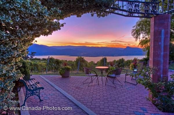 Photo: Okanagan Lake Vineyard Scenic Sunset