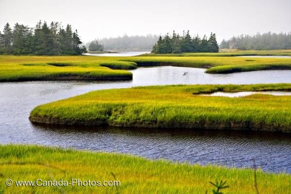 Photo: Water Channels Cape Sable Island Nova Scotia