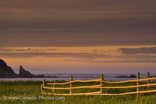 Photo: Wooden Fence Coastline Sunset Newfoundland